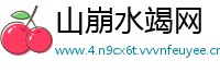 山崩水竭网